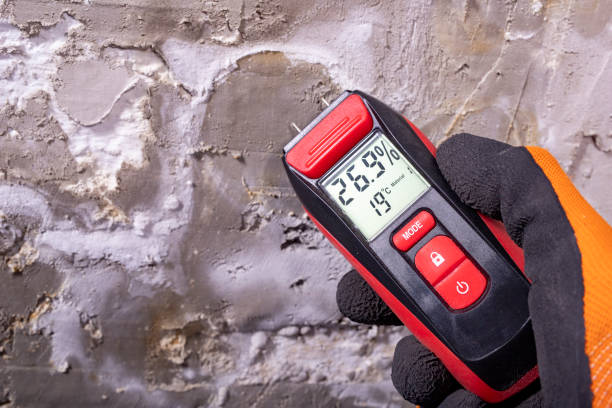 Best Health and Safety Mold Remediation in Butler Beach, FL